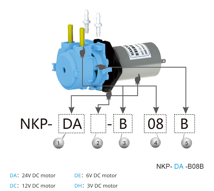 2026 new NKP 6V 12V 24V DC mot - Nutrition & Fitness Hub Photos ulasan dan harga
