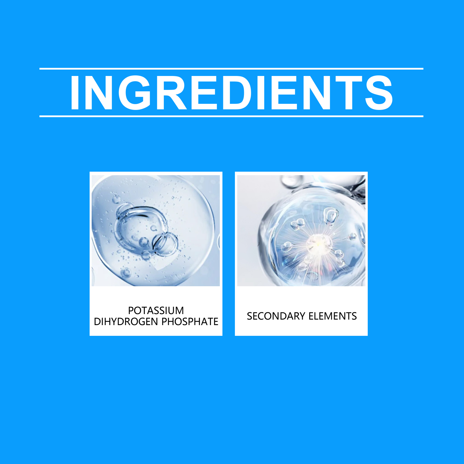 Flower Nutrient Solution Liqui - Nutrition & Fitness Hub Photos ulasan dan harga